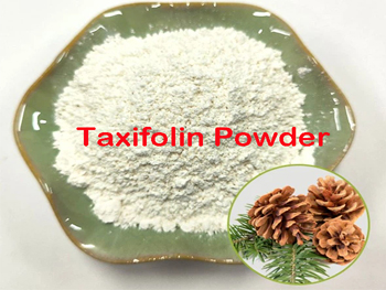 What Is Taxifolin Powder?